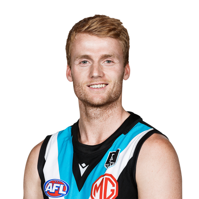 Willem Drew profile picture